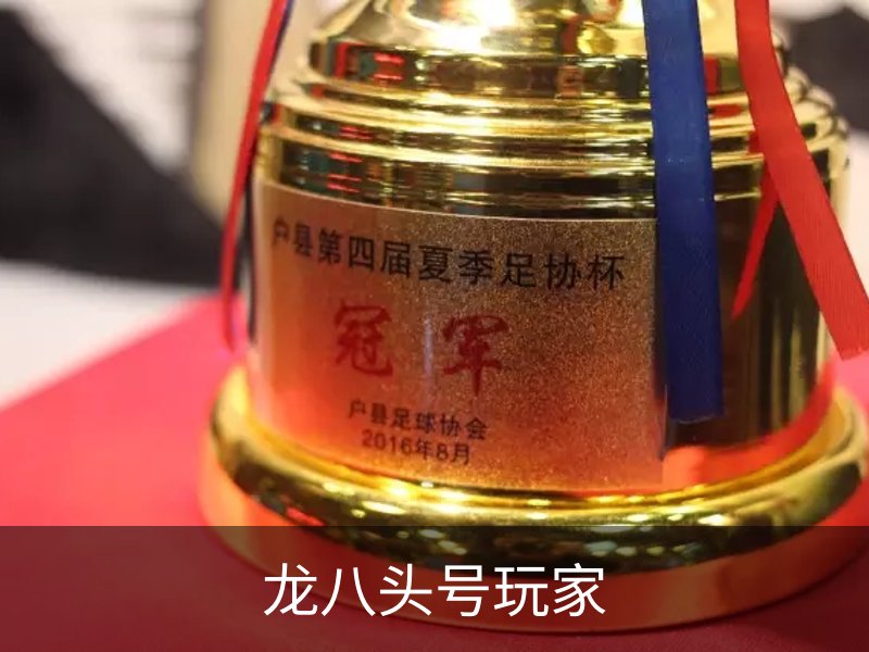 龙八头号玩家品牌故事