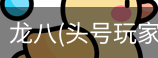 龙八头号玩家